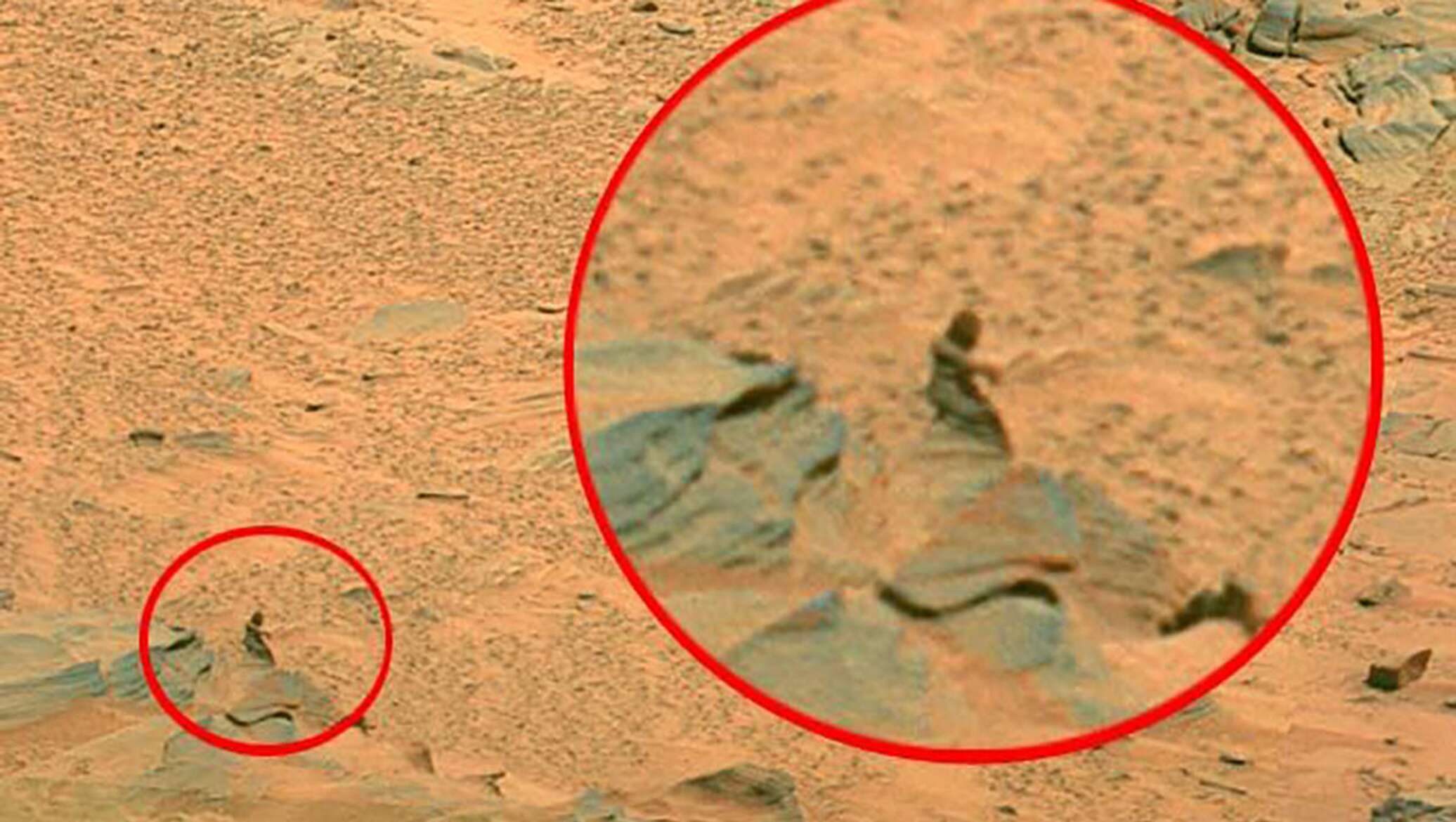 Существует ли место на земле. Снимки Марса Скотт Уоринг. Тайваньский уфолог Скотт Уоринг. Марс Планета жизнь. На Марсе есть жизнь.