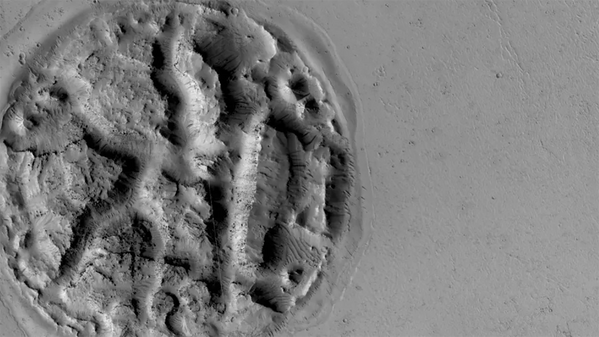 Загадочный рельеф в виде вафли на поверхности Марса  - Sputnik Казахстан