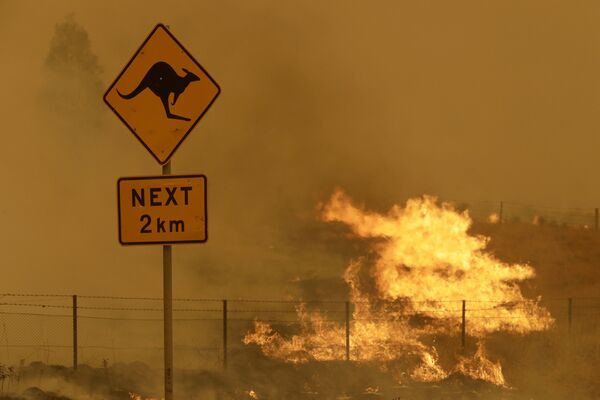 Природные пожары в Австралии - Sputnik Казахстан