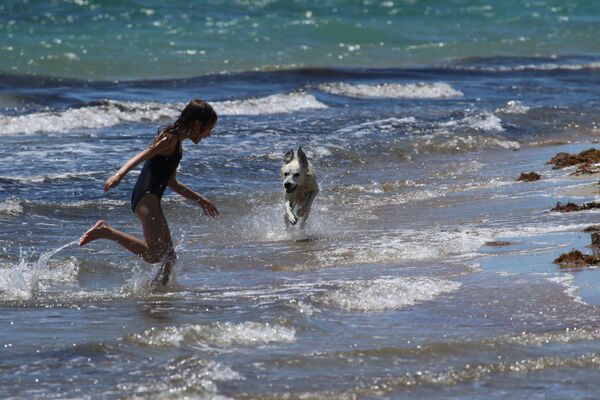 Девочка играет с собакой на пляже в Евпатории, Крым - Sputnik Казахстан