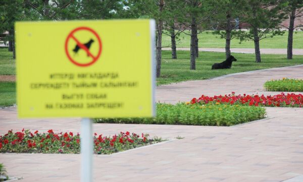 Пожалуйста, не кормите голубей – необычные запреты Нур-Султана - Sputnik Казахстан