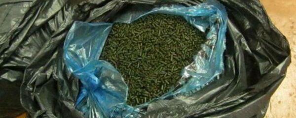 Насвай - Sputnik Казахстан