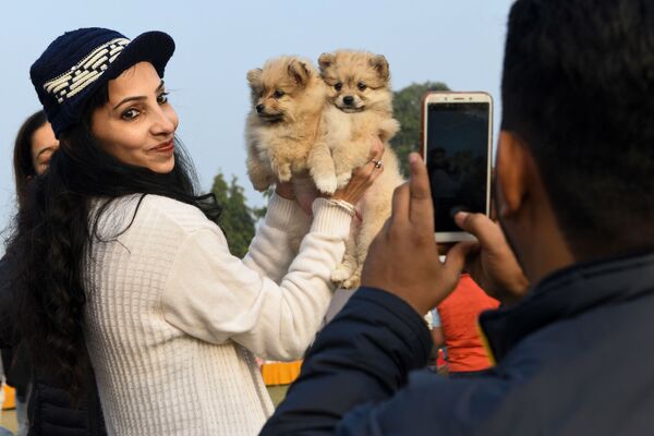 Женщина с двумя щенками во время выставки собак в Амритсаре, Индия  - Sputnik Казахстан
