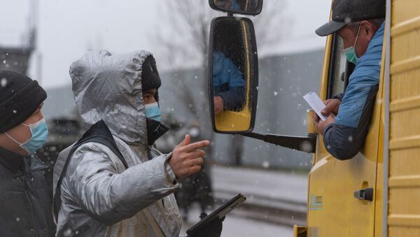 Полицейский  в маске под снегом проверяет документы у водителя грузовика  - Sputnik Казахстан