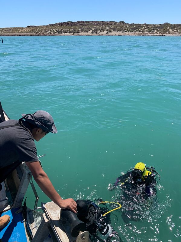 Исследователи ищут подводные артефакты на архипелаге Дампир в Австралии - Sputnik Казахстан