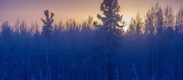 Тұман Тұман - Sputnik Қазақстан