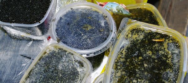 Архивное фото черной икры осетровых пород Архивное фото черной икры осетровых пород - Sputnik Казахстан