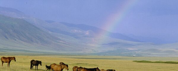 Лошади на горном пастбище - Sputnik Казахстан