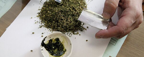 Есірткі, марихуана. Архивтегі сурет - Sputnik Қазақстан