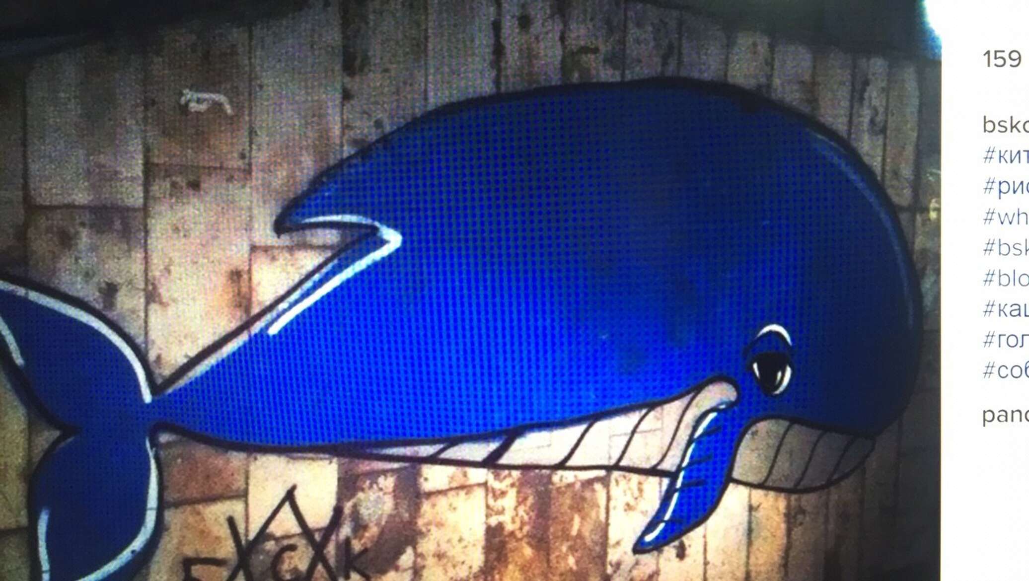 Синий кит символика