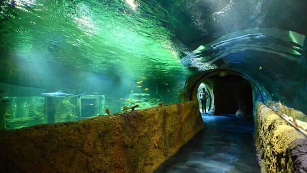 Зоопарк-аквариум. Архивное фото - Sputnik Казахстан