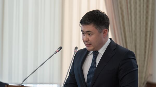 Министр национальной экономики РК Тимур Сулейменов  - Sputnik Қазақстан
