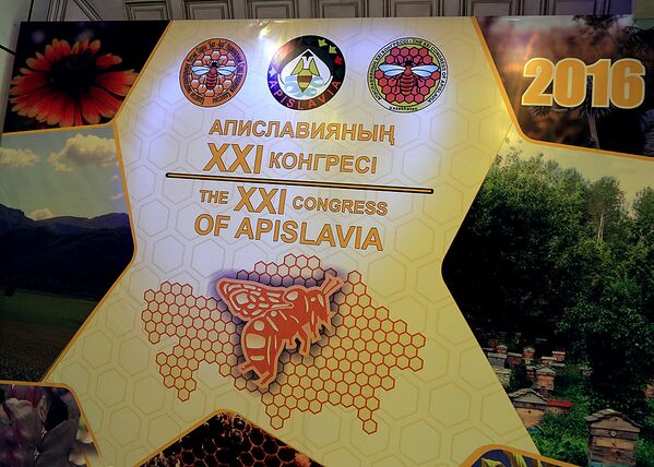 Ярмарка меда в Алматы - Sputnik Казахстан