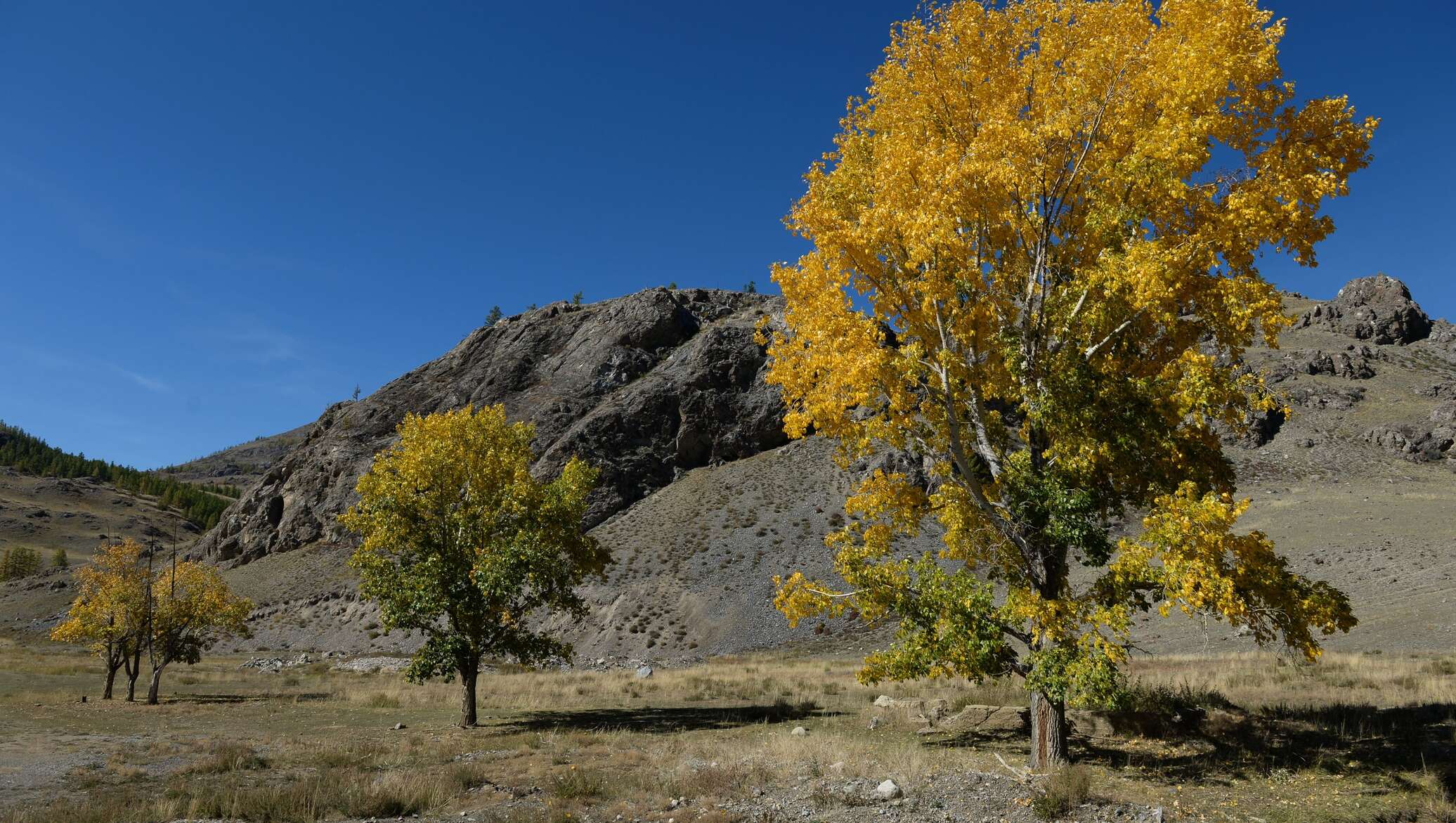 Юго восточный казахстан. Осень в Казахстане фото. Фото осень в Восточном Казахстане. Күз айы фото.