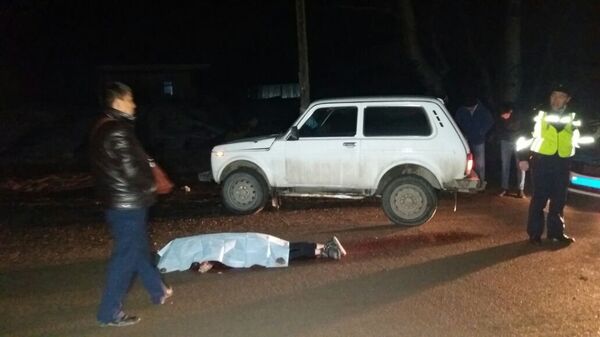 Нива сбила девушку в микрорайоне Карагайлы Нива сбила девушку в микрорайоне Карагайлы - Sputnik Казахстан