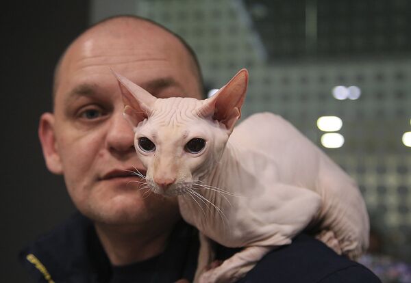 Выставка кошек в Алматы - Sputnik Казахстан
