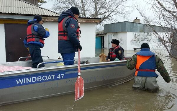 Спасатели эвакуируют людей и домашних животных из затопленных районов Карагандинской области - Sputnik Казахстан
