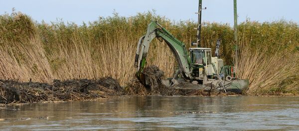 Очистительные работы на озере Балхаш Очистительные работы на озере Балхаш - Sputnik Казахстан
