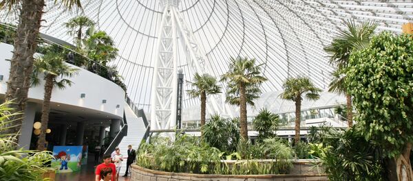 Тропические деревья в ТРЦ Хан Шатыр Тропические деревья в ТРЦ Хан Шатыр - Sputnik Казахстан