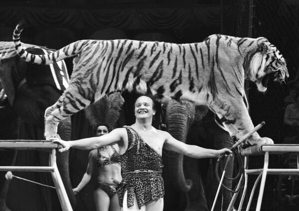 Аттракцион Слоны и тигры: дрессировщик Мстислав Запашный - Sputnik Казахстан