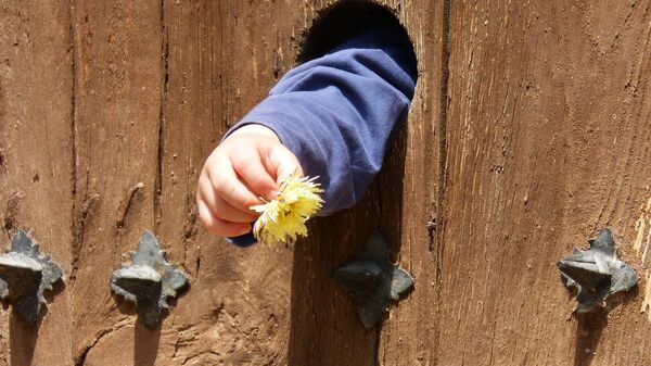 Рука ребенка в дверном отверстии - Sputnik Казахстан