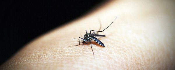 маса - Sputnik Қазақстан