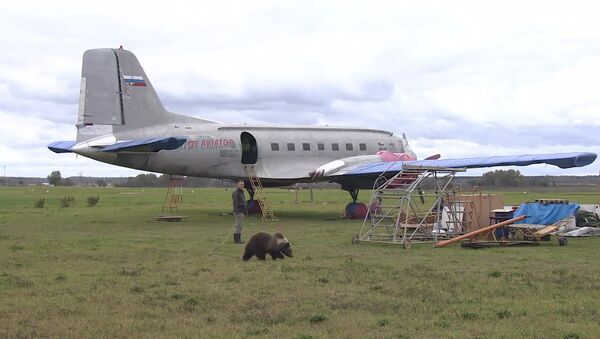 Медвежонок Мансур поселился на аэродроме под Тверью и подружился с лайкой - Sputnik Казахстан