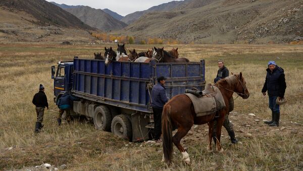 Транспортировка лошадей, архивное фото - Sputnik Казахстан