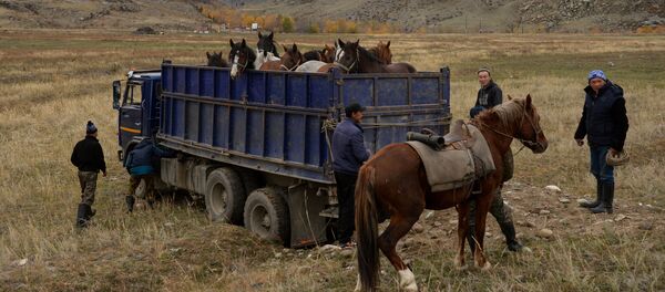 Транспортировка лошадей, архивное фото Транспортировка лошадей, архивное фото - Sputnik Казахстан