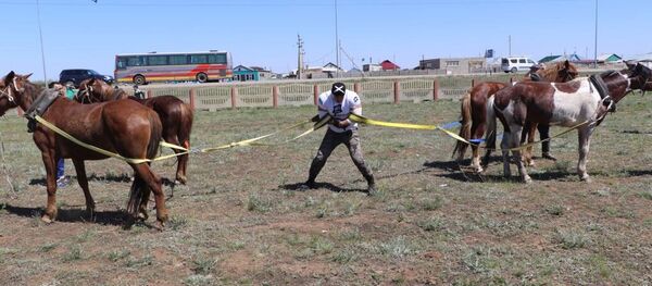 Сергей Цырульников - Sputnik Казахстан