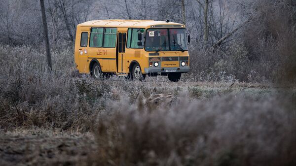 Школьный автобус, архивное фото - Sputnik Казахстан