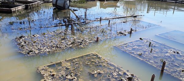 Последствия паводка в Северном Казахстане - Sputnik Казахстан