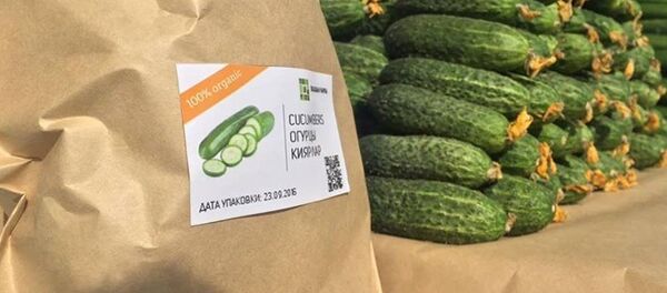 Огурцы, выращенные под музыку Бетховена - Sputnik Казахстан