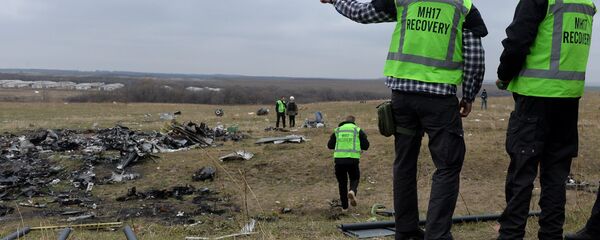 Голландские эксперты проводят работы на месте крушения малайзийского Boeing Голландские эксперты проводят работы на месте крушения малайзийского Boeing - Sputnik Казахстан