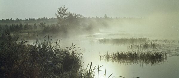 Ранее утро на реке, архивное фото Ранее утро на реке, архивное фото - Sputnik Казахстан