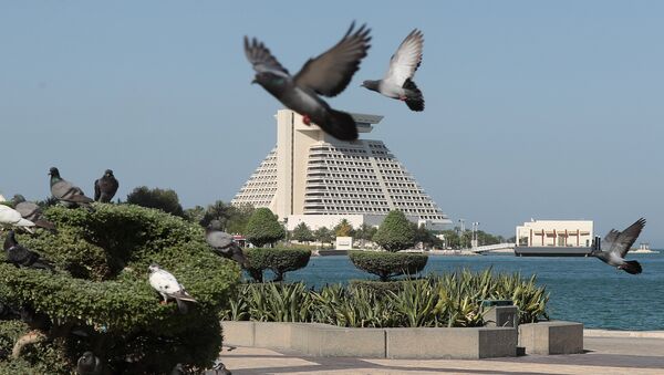 Голуби на набережной в Дохе, виды Катара, архивное фото - Sputnik Казахстан