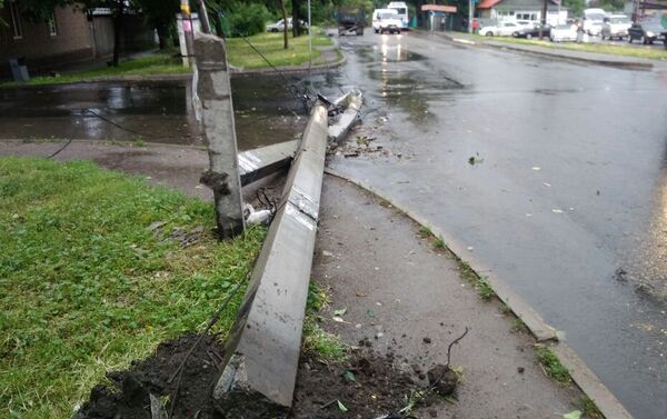 Дерево повредило высоковольтные линии в Алматы - Sputnik Казахстан