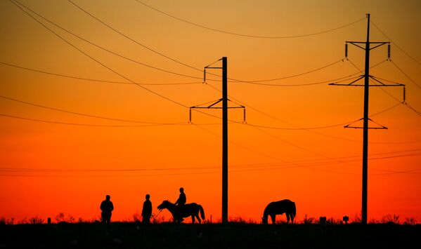 Местные жители с лошадьми рядом с линией электропередач в городе Арал, архивное фото - Sputnik Казахстан