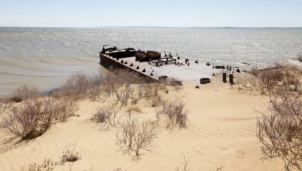 Заброшенное судно лежит между береговой линией Аральского моря и песчаными дюнами, архивное фото - Sputnik Казахстан