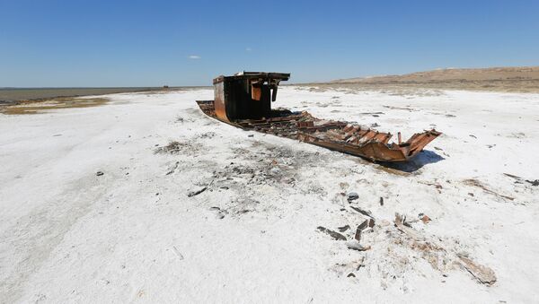 Разрушенный корабль лежит на засоленной части Аральского побережья моря недалеко от местного поселка - Sputnik Казахстан