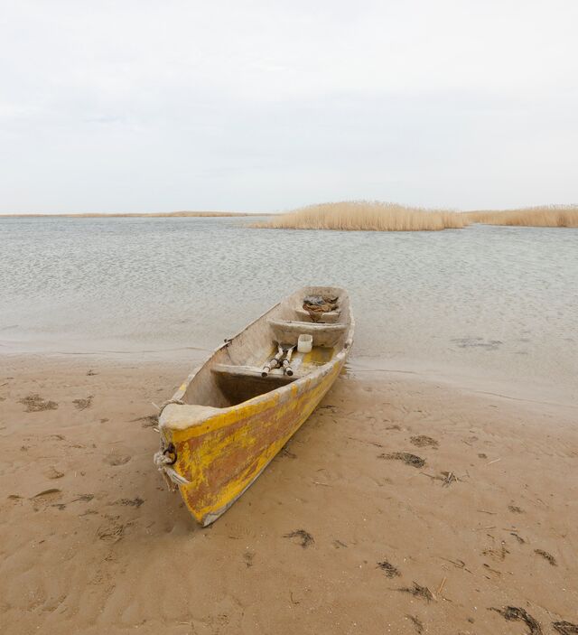 Кездейсоқ секс порно фильмінің хроникасы