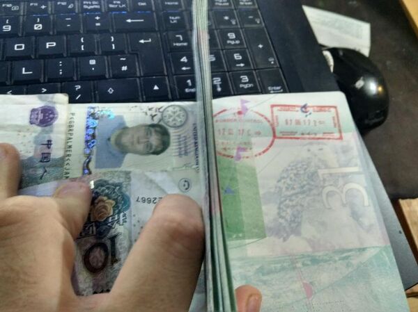 Паспорт Джеймса Палмера Паспорт Джеймса Палмера - Sputnik Казахстан