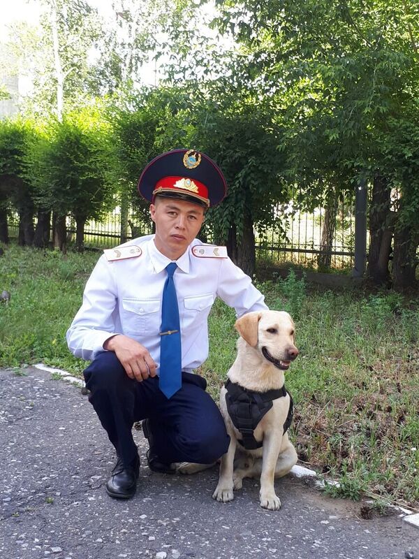 Кинолог Ернур Амирханов и служебная собака Рио Кинолог Ернур Амирханов и служебная собака Рио - Sputnik Казахстан