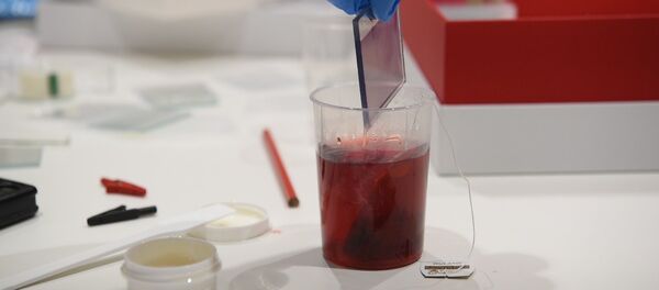 Как сделать солнечную батарею из чая и варенья Как сделать солнечную батарею из чая и варенья - Sputnik Казахстан