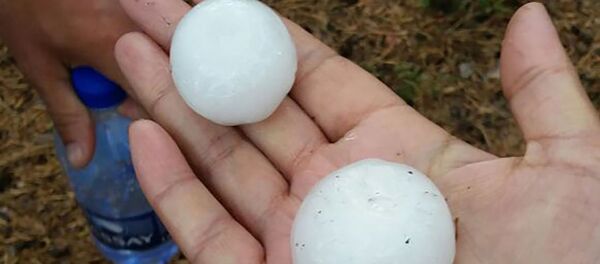 Щучинскіде жауған бұршақ - Sputnik Қазақстан