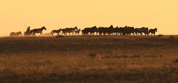 Улытау Улытау - Sputnik Казахстан