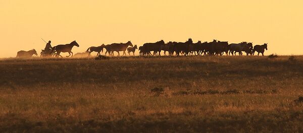 Улытау Улытау - Sputnik Казахстан