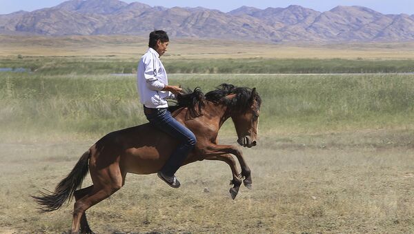 Мужчина на лошади - Sputnik Казахстан