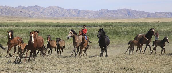 Улытау Улытау - Sputnik Казахстан