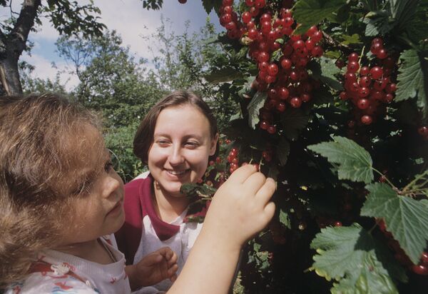 Дачники Дачники - Sputnik Казахстан